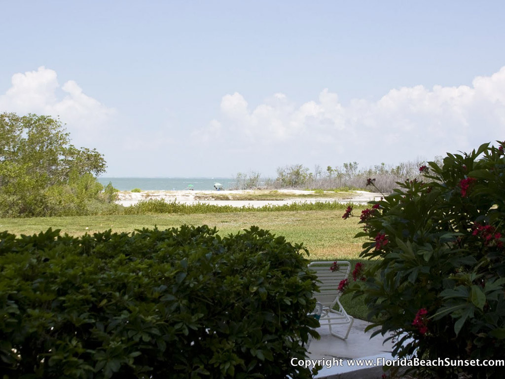 View of the beach from the lobby of the building.  There is a pleasant 100 feet of grass, and then you step onto the sand.